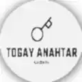 Mecit Togay