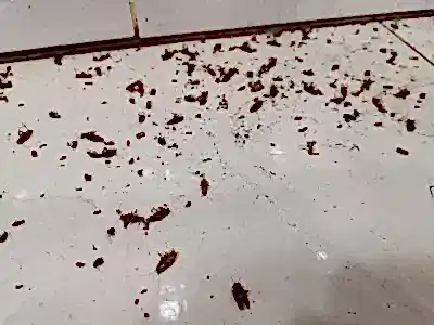 Ayhan Erkun 10
